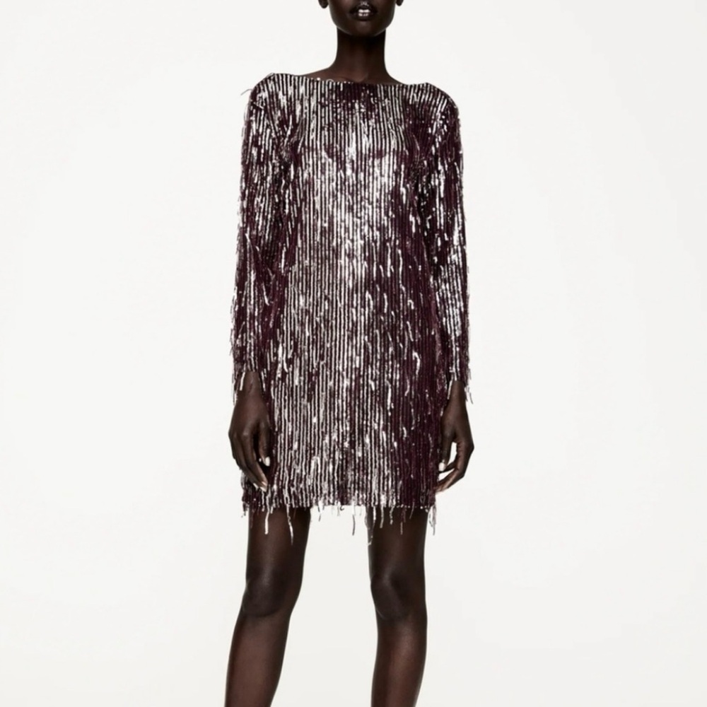 Zara Sequined Fringe Burgundy Mini Dress Size Large